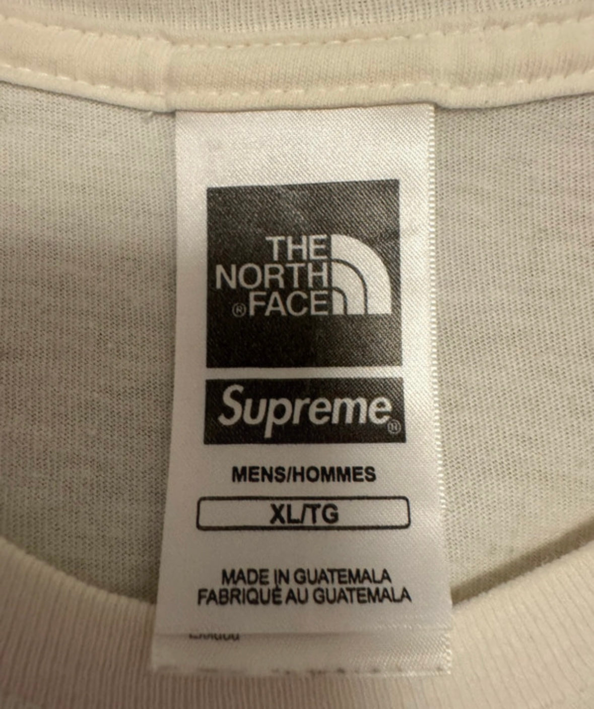 Supreme x TNF Metallic Logo tee