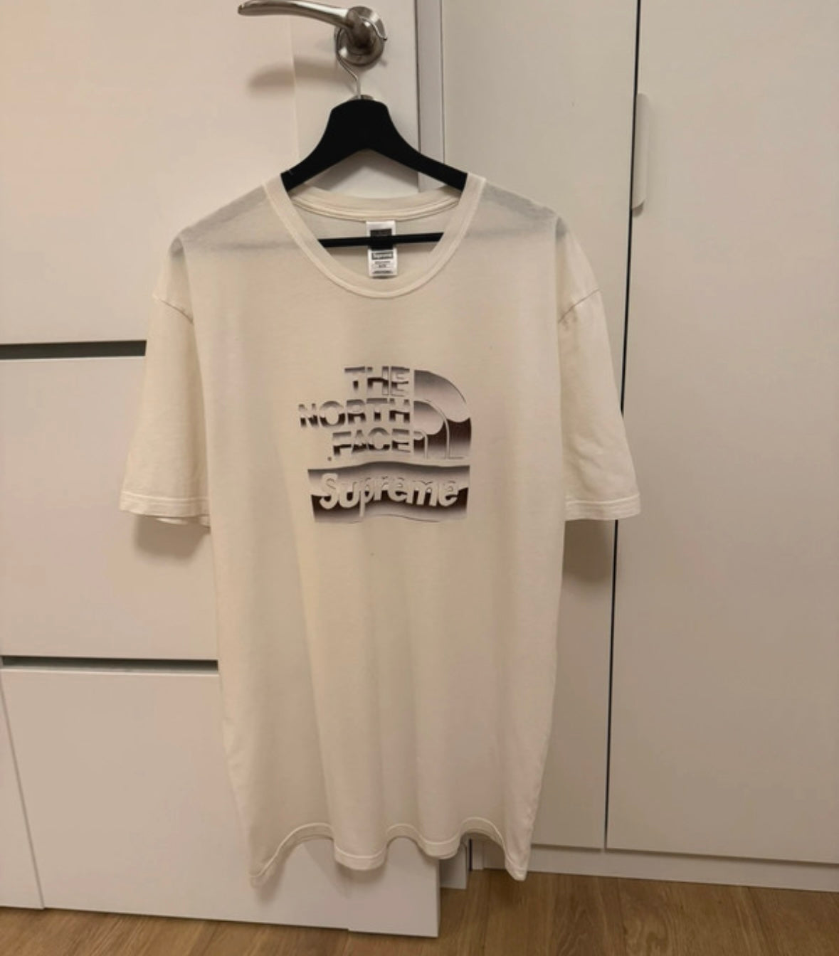 Supreme x TNF Metallic Logo tee