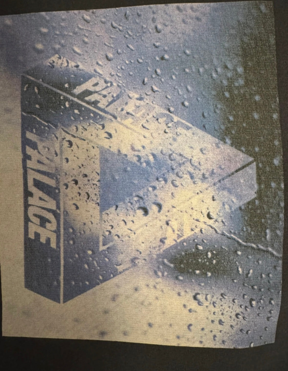 Palace Windowlicker hoodie