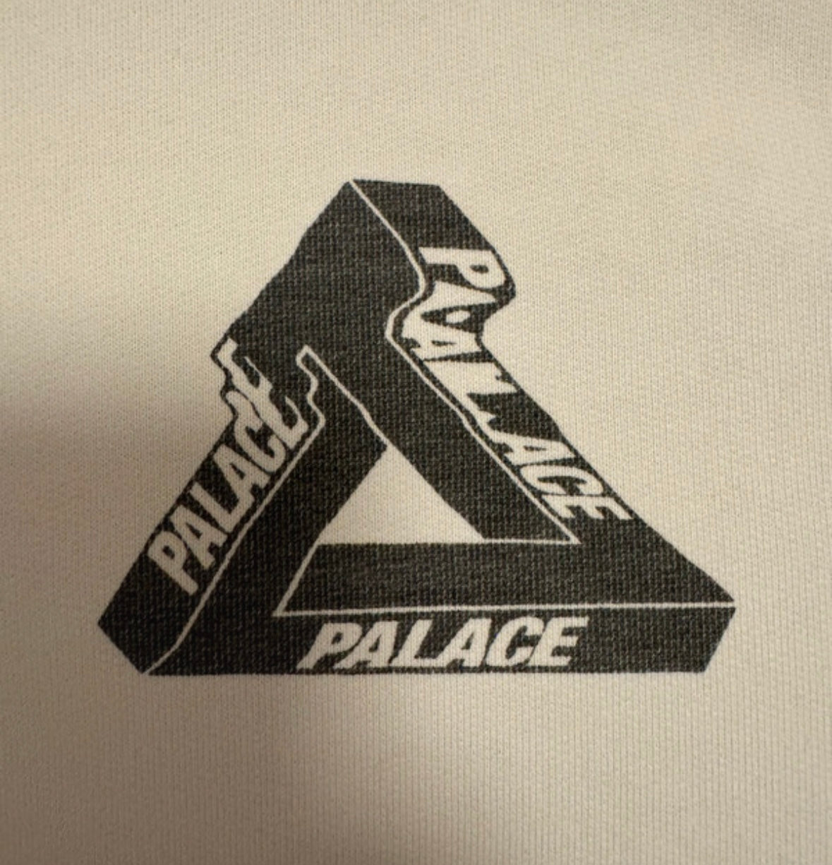 Palace Tri-Wobble hoodie