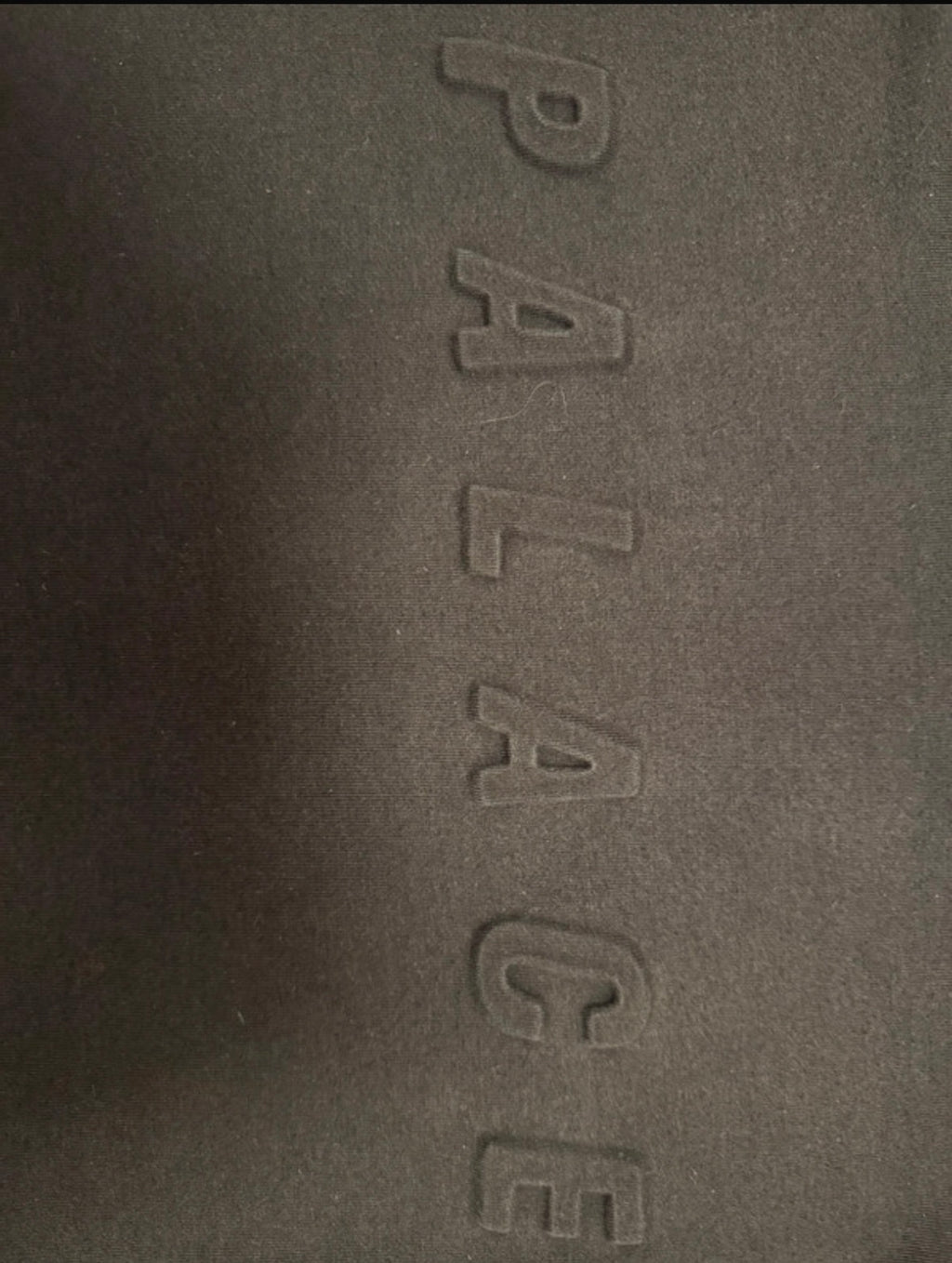 Palace P-A-L hoodie