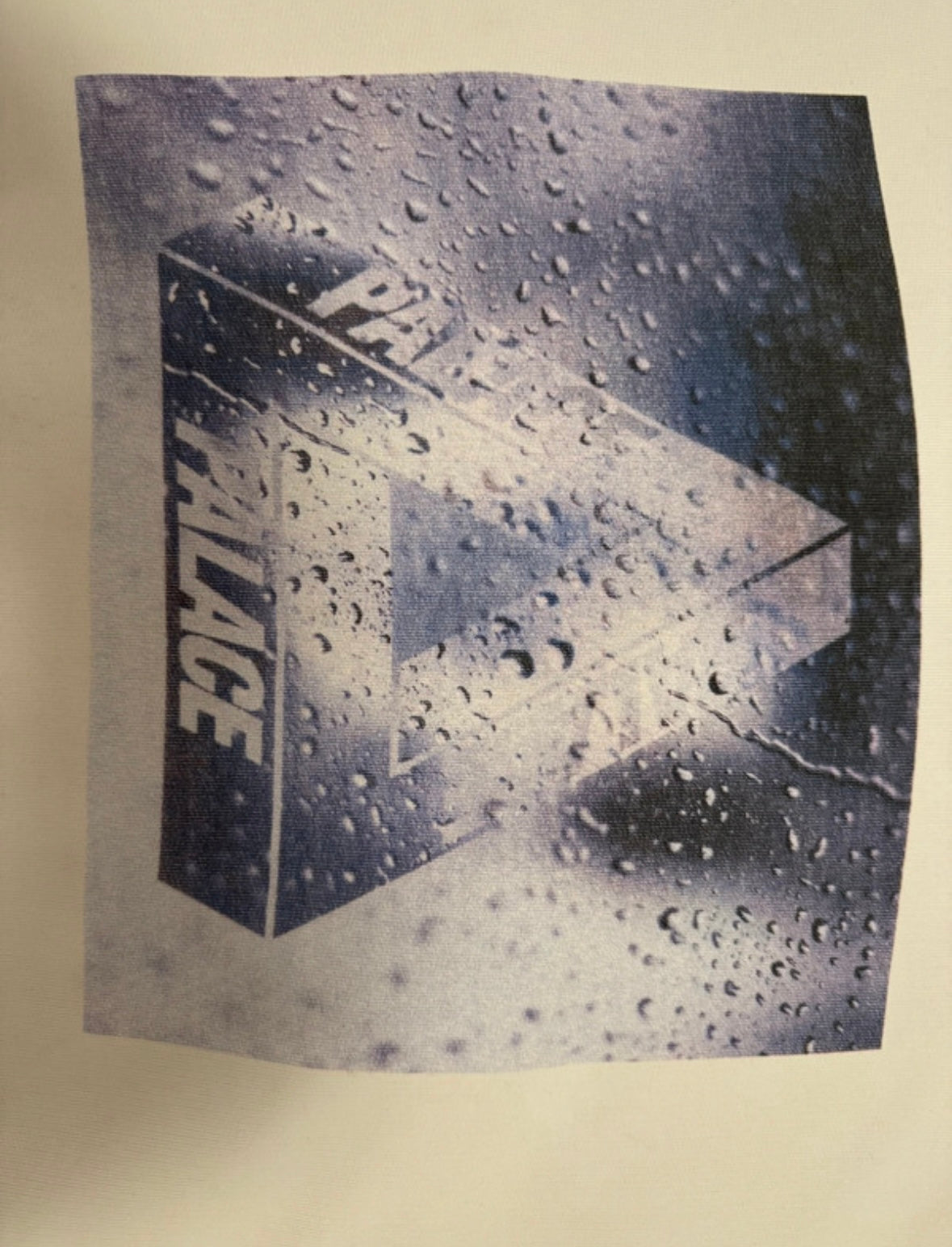 Palace Windowlicker hoodie