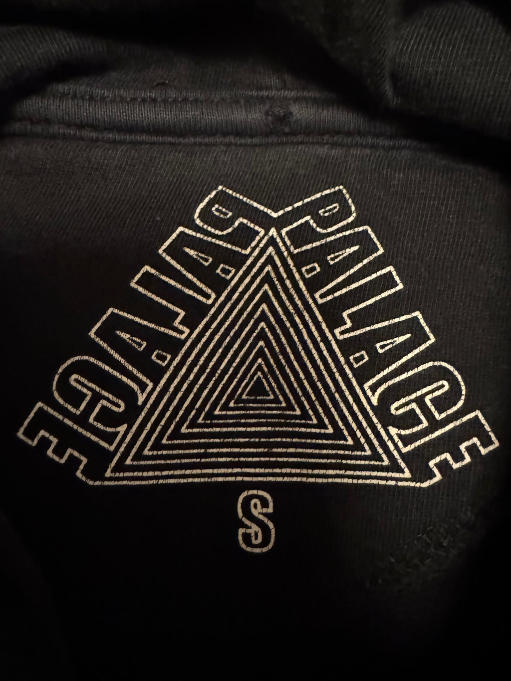 Palace One Wave Rasta Tri-Ferg hoodie